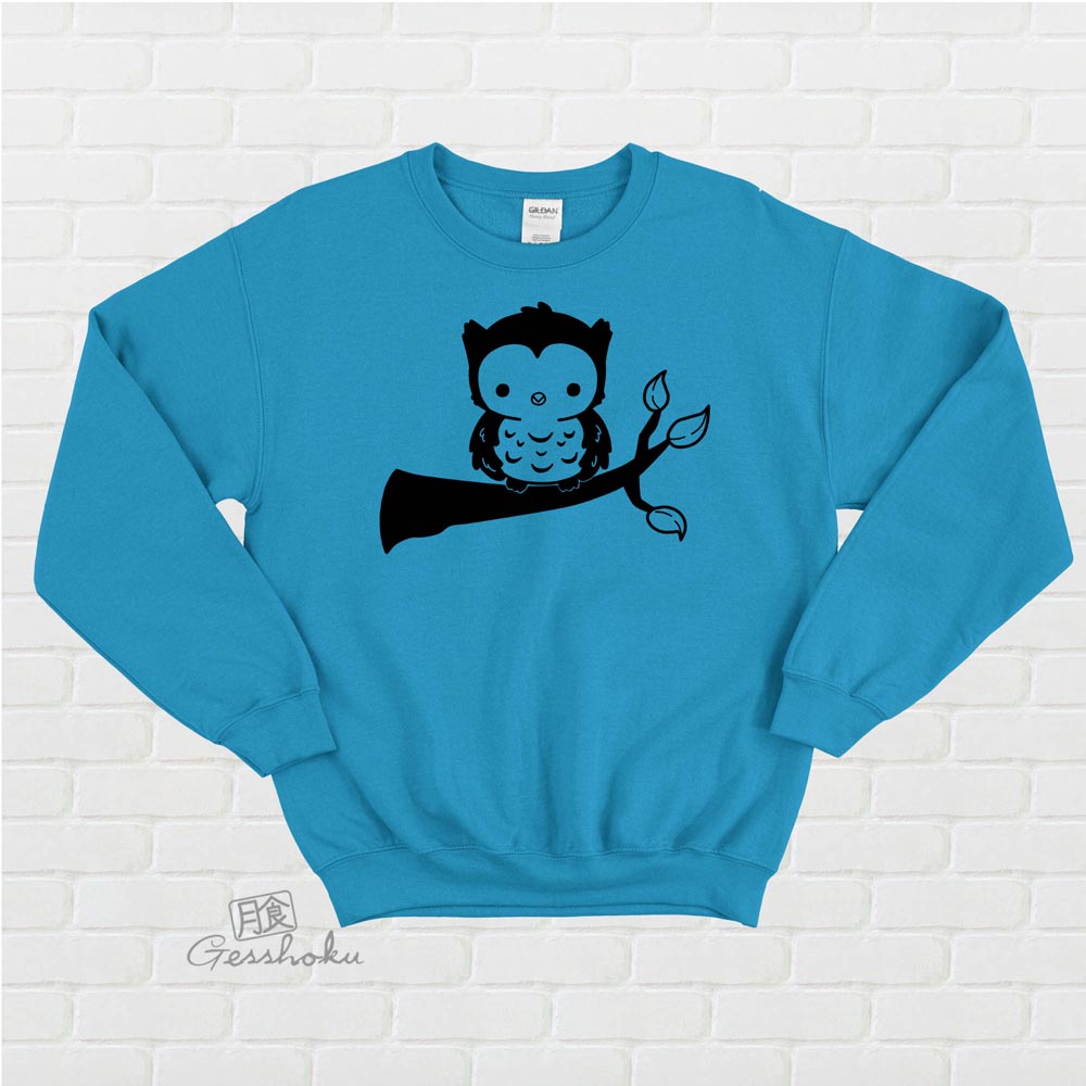 Fluffy Owl Crewneck Sweatshirt - Aqua Blue