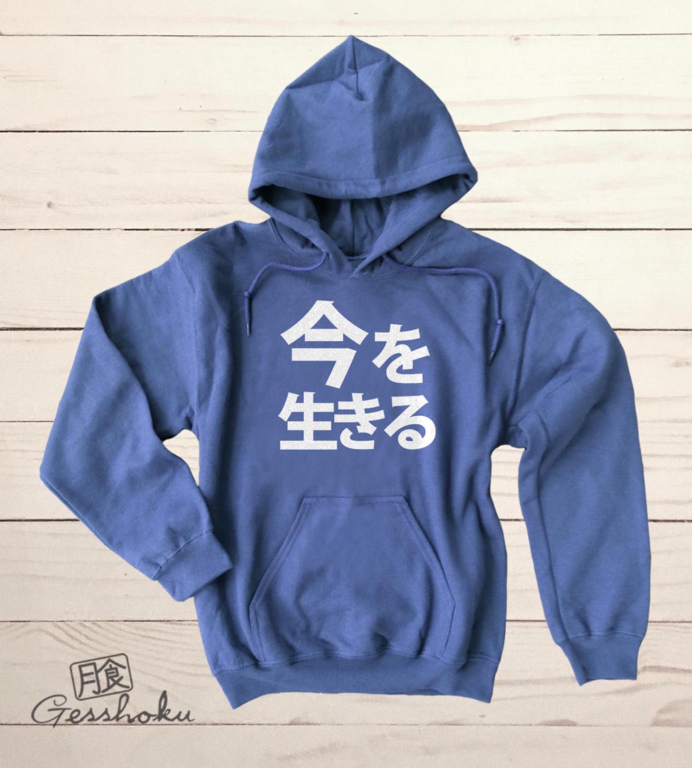 Live in the Moment Pullover Hoodie - Heather Blue